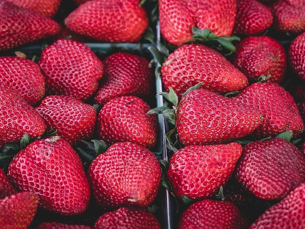 Berries Year-Round Available